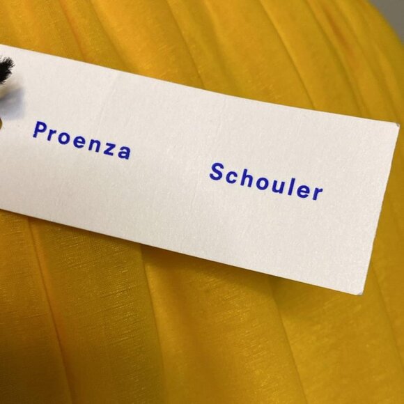 PROENZA SCHOULER SHEER DRESS WITH CAPE SLEEVES AND PLEATED SKIRT - Picture 6 of 13